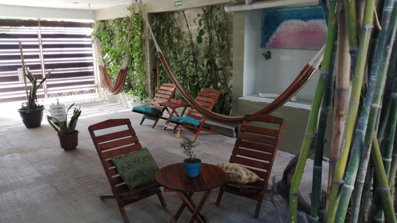Hostal Jardin Mahahual Zewnętrze zdjęcie