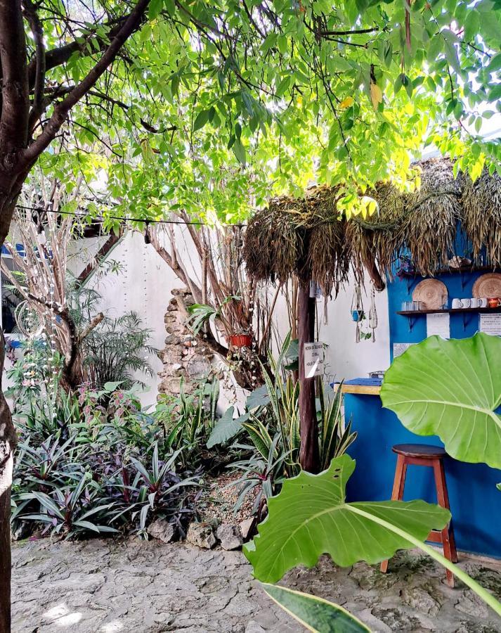 Hostal Jardin Mahahual Zewnętrze zdjęcie